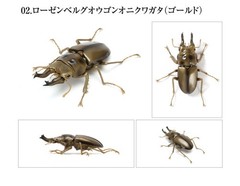 Bandai Capsule Toy Creature Encyclopedia Kuwagata/Stag Beetle 03 Full Set of 5!
