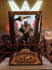 WWE Defining Moments (CHASE) Elite: Ric Flair
