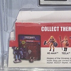 World’s Smallest Micro Figure Masters of the Universe Skeletor New