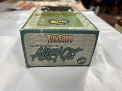 Alley Cat Wizard Action Figure CIB Toy Fare Exclusive 1999 Alley Baggett Image