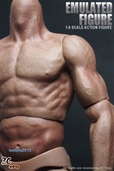 ZC Toys 1/6 Scale 12″ Muscular Male Action Figure Body For Hot Toys Head Sculpt