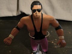 LJN Titan Sports 1987 Brett Hitman Hart WWF WWE WCW NWA AWA ECW Purple Variant
