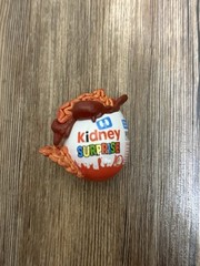 ZURU 5 Surprise Mega Gross Minis Series 2 KIDNEY SURPRISE Combined Shipping