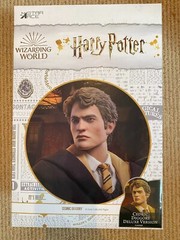 Harry Potter Goblet of Fire Cedric Diggory 1/6 Coll AF Deluxe V Star Ace