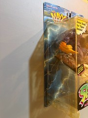 The Maxx Action Figure from McFarland Toys VHTF