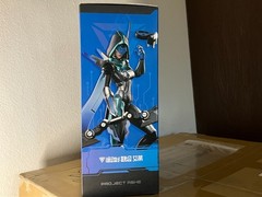 RIOT GAMES LEAGUE OF LEGENDS PROJECT ASHE 1/8 Figure APEX TOYS. US SELLER!