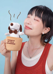 💡 M&G Shop x Peanuts Snoopy So Cool Life Series Keychain Plush One Blind Box
