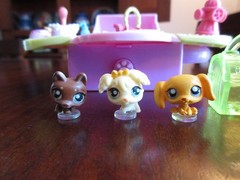 LITTLEST PET SHOP TEENIEST TINIEST PUPPIES DOGS POP OPEN MINI COMPACT PLAYSET