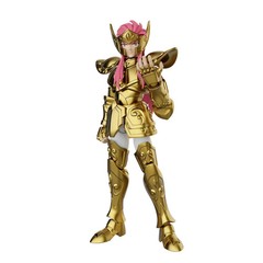 Blokees Saint Seiya Champion Class Aquarius Camus Model Kit Action Figure