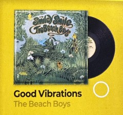 🎶 New! ZURU Mini Brands VINYL Series- *Rare* THE BEACH BOYS – Good Vibrations