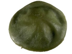 Vintage Stony Smith Marx Beret Hat Cap Accessories Army Green Military Toy §