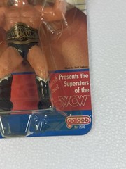 WCW Galoob MOC Barry Windham NM++ Titan Vintage WWF WWE LJN Hasbro