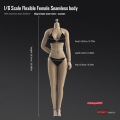 US 1:6 Flexible Female Seamless Body Suntan Skin Large Bust Breast Figure Body