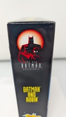 The New Batman Adventures Batman and Robin Walmart 2 Pack (See Photos)