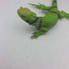 Safari Ltd. Iguana Baby (ca. 30 cm ) 1997