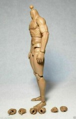 ZC Toys 12″ Muscular Male Action Figure Body Fit 1/6 Scale Hot Toys Head Sculpt