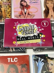 MGA Miniverse Real Music-Vinyl-7 Records-Britney Spears-Amy Winehouse-TLC-Blink