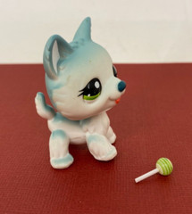 ❤ Littlest Pet Shop ❤ LPS #1563 – Authentic Dog – Blue Husky