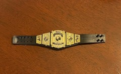 AEW Women’s World Championship Title Belt Action Figure Accessory Jazwares