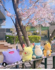 Pokemon Store All Together Zap Zap Magnet Mascot Collection Vol.9