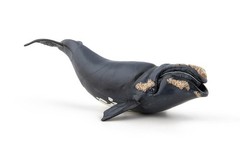 Papo Right Whale Hand Painted Figurine – Heirloom Quality Collectible No. 56057