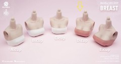 1/6 female D CUP BUST Chest replacement model Worldbox Pale Suntan Figure ❶USA❶