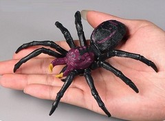 Poisonous Spider Insect Animal Toy PVC Action Figure Doll Kids Toys Party Gifts