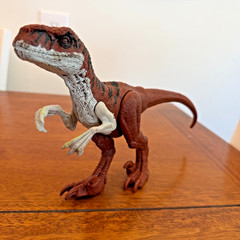 Jurassic World Raptors Dominion Atrociraptor 2021 VGC 13.5″ Long