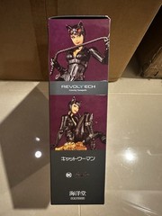 Revoltech Amazing Yamaguchi Catwoman (Batman Arkham Knight) Kaiyodo New/sealed