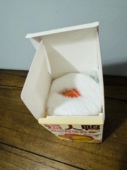 upsetduck act cute duck SJD ORBStoys 2024