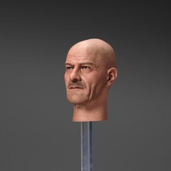 1/6 Bryan Cranston Heisenberg Teacher Male Head Sculpt Model 12in Action Figures