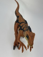 Jurassic World 3.75 Rebirth Orange VELOCIRAPTOR Dinosaur action figure LOOSE