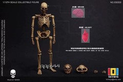 101TOYS NO.ES001/2 Palm Elf Series Skeleton Body 1/12 Action Figure Collectible