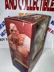 Sota Toys Street Fighter: Evil Ryu Rotocast Action Figure SEALED NEW 🔥