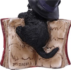 Nemesis Now Kitty’s Grimoire Cat Spell Book Figurine 8.2cm, Resin, Red, Witch’s