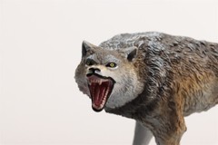 Earth Story Male Dire Wolf Model Prehistoric Animal Figure Adult Kids Gift Toys