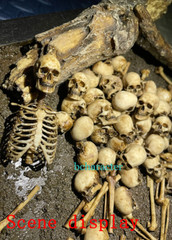 Skull Human Skeleton 1/6 PVC 3D Printed Model DIY Halloween Ornament Toys