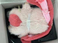 Baby Three AI 800% Artificial intelligence Plush – with Crying Eyes Pink NIB