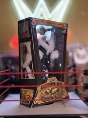 WWE Defining Moments (CHASE) Elite: Ric Flair