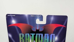 Batman Beyond Blight (See Photos)