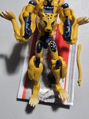 Transformers Universe Cheetor Deluxe Class Classics Action Figure