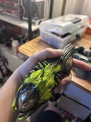 1/6 Scale Custom Trophy Predalien Head