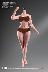 ANT T307 1/6th Female Fitness Model Action Figure Body 12in Muscle Bust Soldier