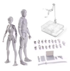 Body Kun Body Chan Drawing Figure Male Female Model Toy