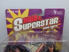 Adult Superstar Asia Carrera Action Figure Plastic Fantasy 2013 New Series 4