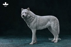 JXK 1/6 Arctic Wolf Model Canis Lupus Arctos Figure Wild Animal Collector Decor