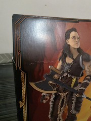 Hasbro Golden Archive Dungeons & Dragons – Holga Action Figure