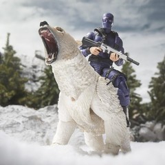 G.I. Joe Classified Series #161, Snake Eyes & Polar Bear, 6-Inch Scale Action F