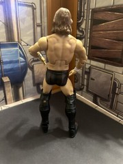WWE Daniel Bryan Mattel Elite Wrestling Action Figure Series 73 Raw Smackdown