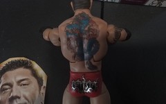 2024 WWE Mattel Royal Rumble lot Batista Beth Phoenix & Ridge Holland